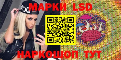 мяу мяу мука Кулебаки