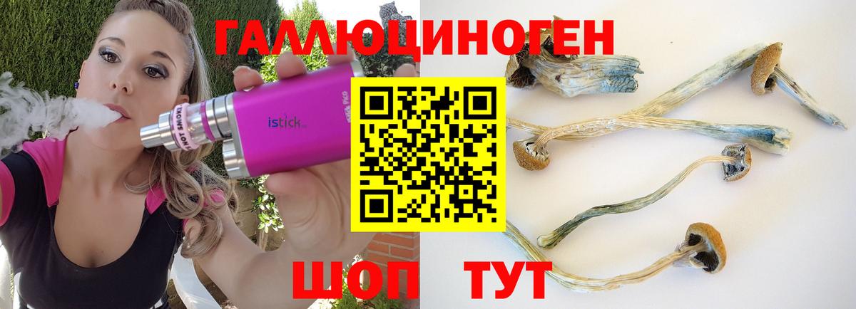 Галлюциногенные грибы Psilocybe Канаш